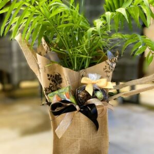 Parlour Palm Gift Bag